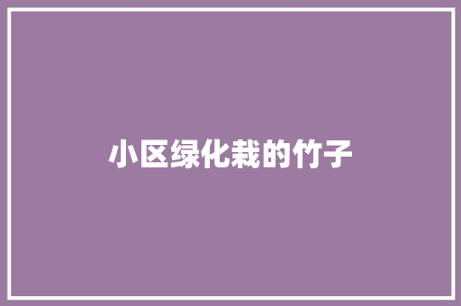 小区绿化栽的竹子