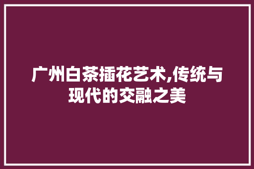 广州白茶插花艺术,传统与现代的交融之美