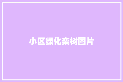 小区绿化栾树图片