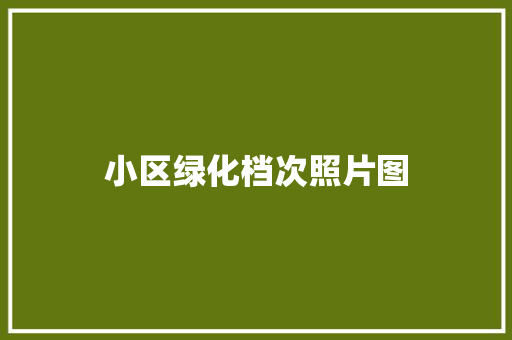 小区绿化档次照片图