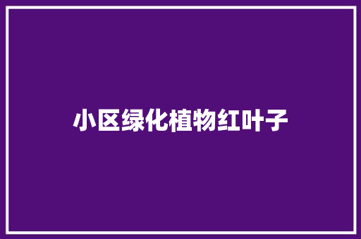 小区绿化植物红叶子