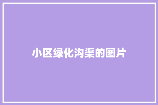 小区绿化沟渠的图片