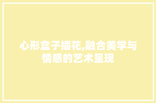 心形盒子插花,融合美学与情感的艺术呈现