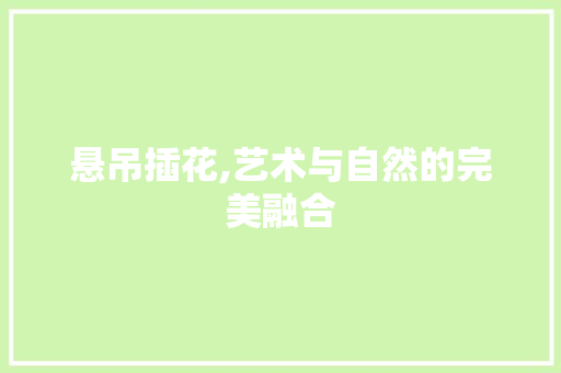悬吊插花,艺术与自然的完美融合