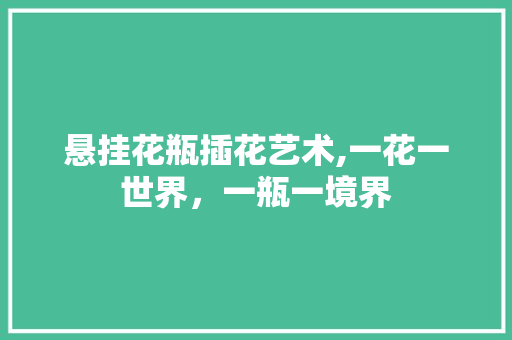 悬挂花瓶插花艺术,一花一世界，一瓶一境界
