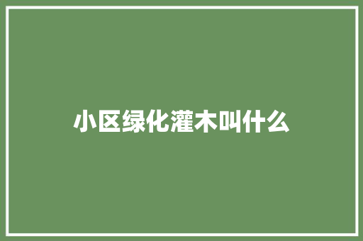 小区绿化灌木叫什么