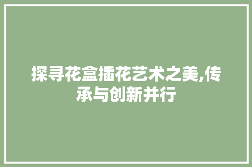 探寻花盒插花艺术之美,传承与创新并行