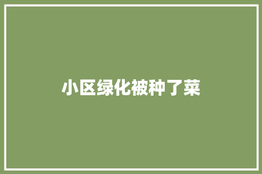 小区绿化被种了菜