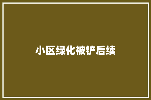小区绿化被铲后续 蔬菜育苗