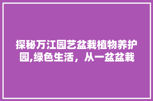 探秘万江园艺盆栽植物养护园,绿色生活，从一盆盆栽开始