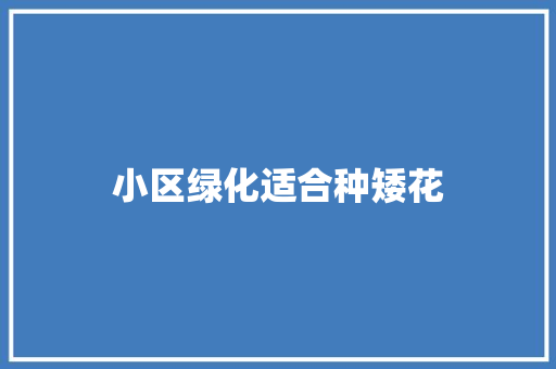 小区绿化适合种矮花