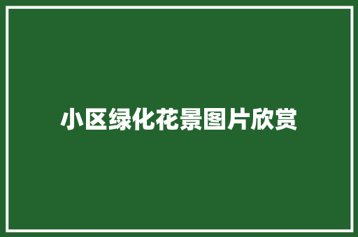 小区绿化花景图片欣赏