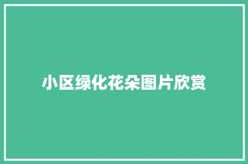 小区绿化花朵图片欣赏