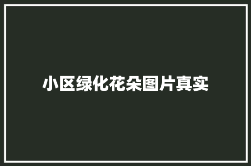 小区绿化花朵图片真实