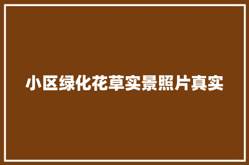 小区绿化花草实景照片真实