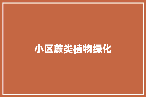 小区蕨类植物绿化