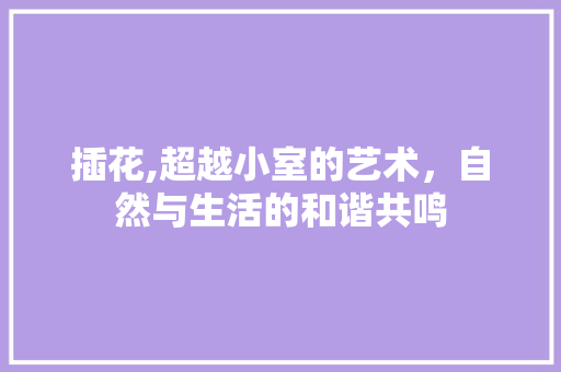 插花,超越小室的艺术，自然与生活的和谐共鸣