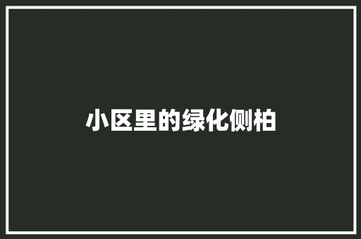 小区里的绿化侧柏