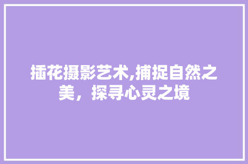 插花摄影艺术,捕捉自然之美，探寻心灵之境