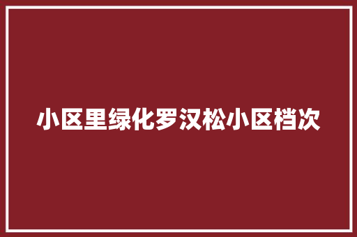 小区里绿化罗汉松小区档次