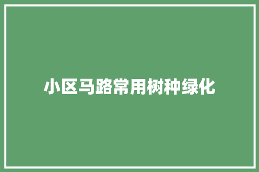 小区马路常用树种绿化 育苗设备