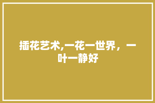 插花艺术,一花一世界，一叶一静好