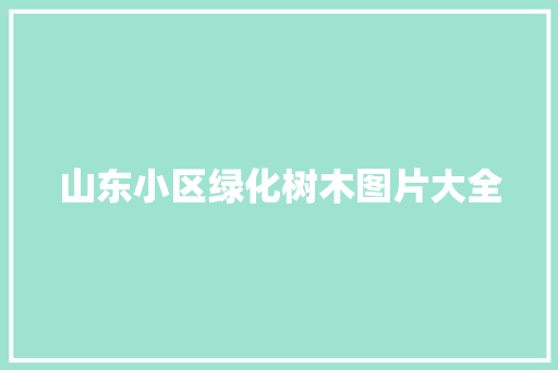 山东小区绿化树木图片大全 育苗设备