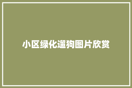 小区绿化遛狗图片欣赏