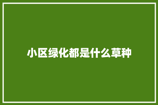 小区绿化都是什么草种