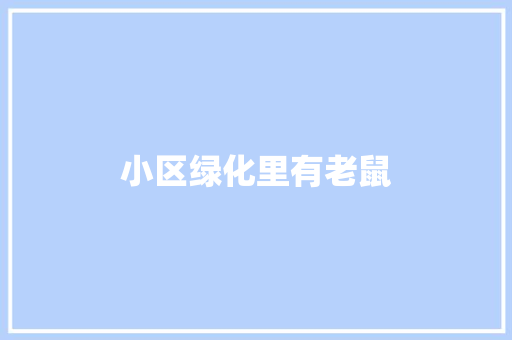 小区绿化里有老鼠 无土育苗