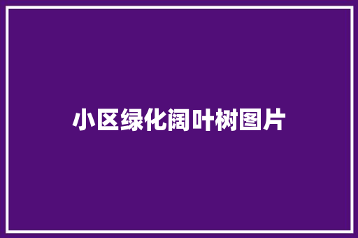 小区绿化阔叶树图片