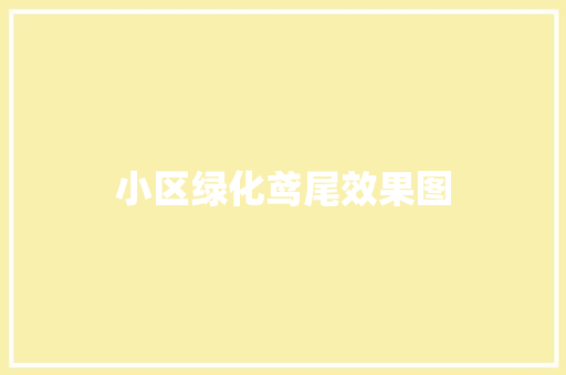 小区绿化鸢尾效果图