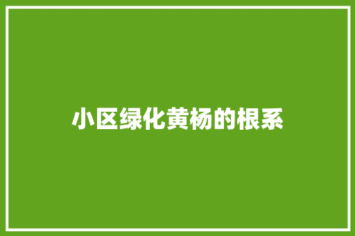 小区绿化黄杨的根系
