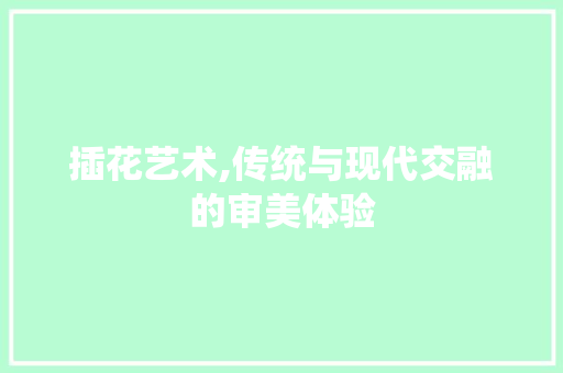 插花艺术,传统与现代交融的审美体验