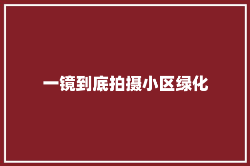 一镜到底拍摄小区绿化