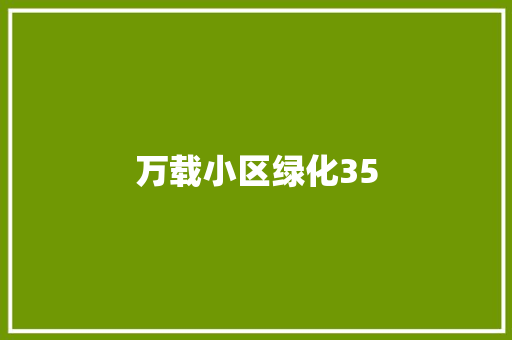 万载小区绿化35