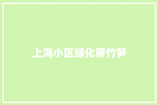 上海小区绿化带竹笋