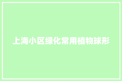 上海小区绿化常用植物球形