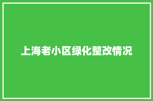上海老小区绿化整改情况