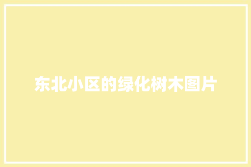 东北小区的绿化树木图片