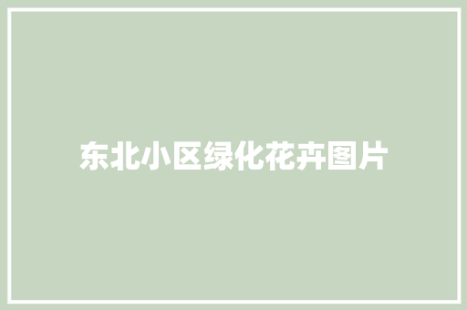 东北小区绿化花卉图片
