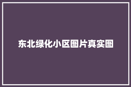 东北绿化小区图片真实图