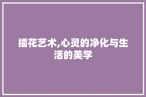 插花艺术,心灵的净化与生活的美学