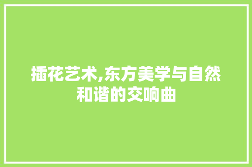 插花艺术,东方美学与自然和谐的交响曲