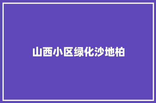 山西小区绿化沙地柏