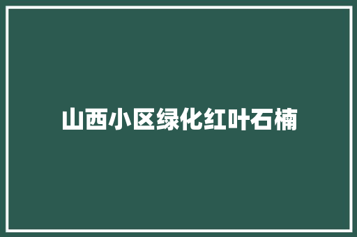 山西小区绿化红叶石楠