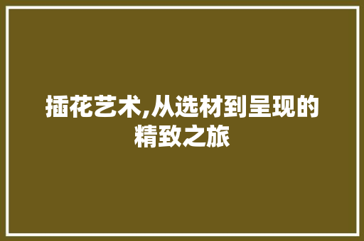 插花艺术,从选材到呈现的精致之旅