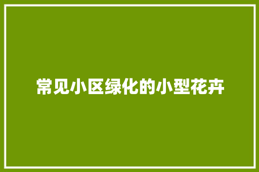 常见小区绿化的小型花卉