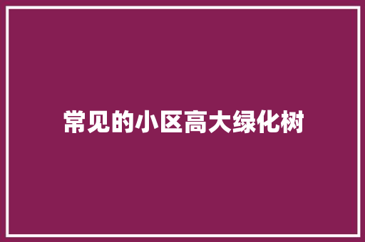 常见的小区高大绿化树
