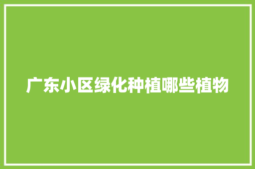 广东小区绿化种植哪些植物